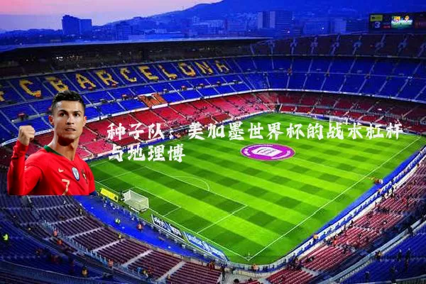 种子队：美加墨世界杯的战术杠杆与地理博弈